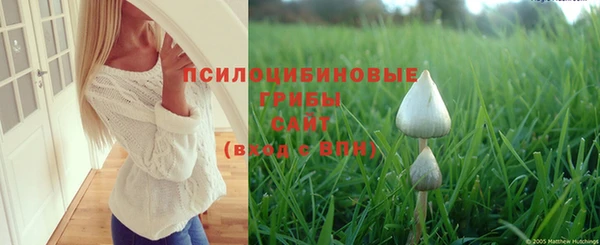гидропоника Дмитров