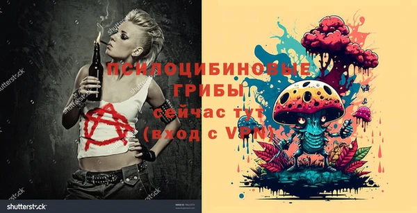 прущие крисы Дмитриев