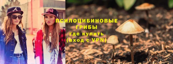 прущие крисы Дмитриев