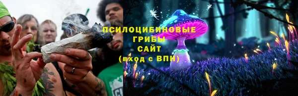 прущие крисы Дмитриев